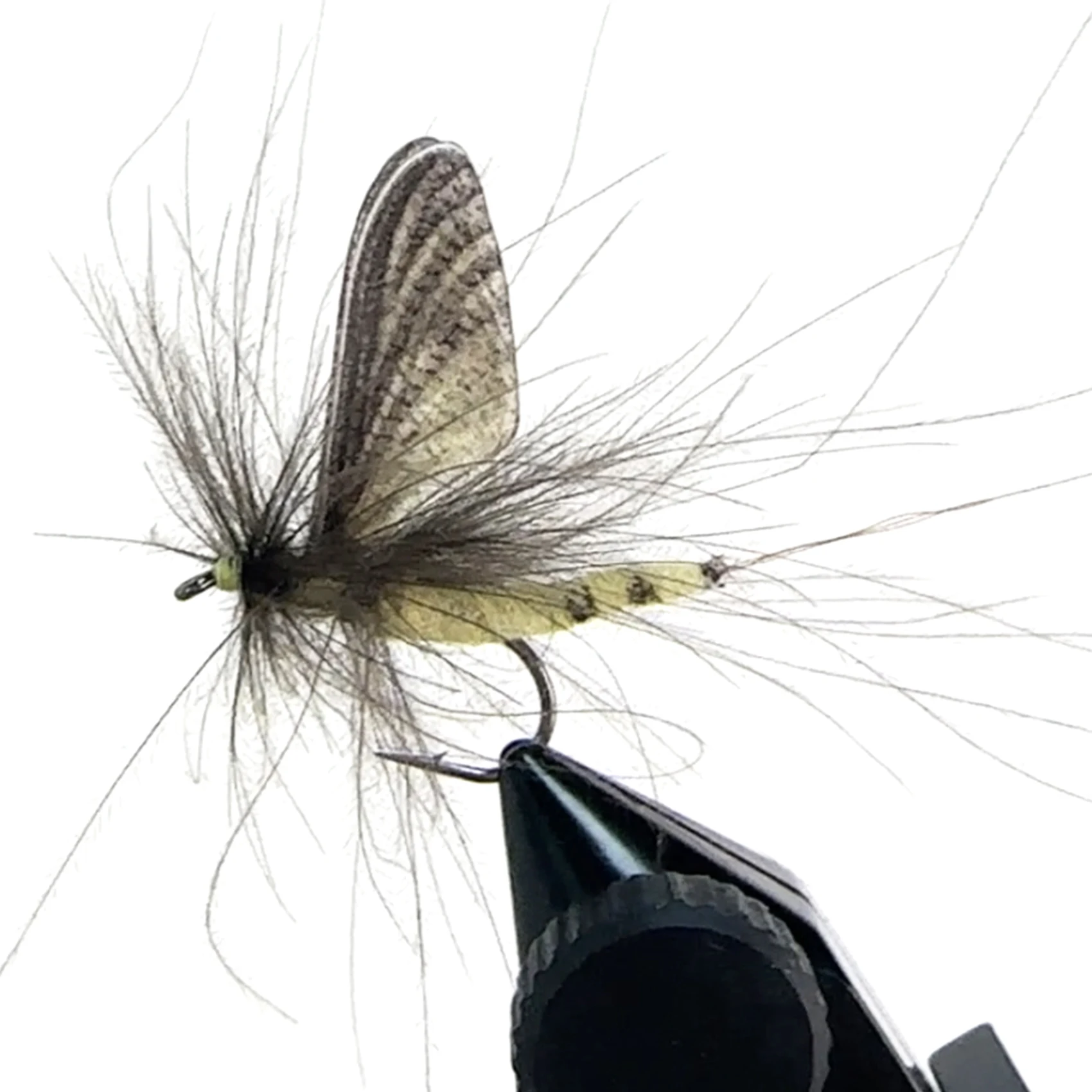 Ampia Selezione di Mosche Secche per la Pesca a Mosca