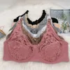 Sexy Lace lingerie bra Thin Padded cotton Plus Size 75 80 85 90 95 100 105 Women's Bralette Push Up Brassiere Girl Top BH C18