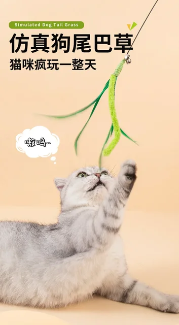 Katzenangel Mit Feder - Bissfestes Spielzeug Für Katzen & Kätzchen