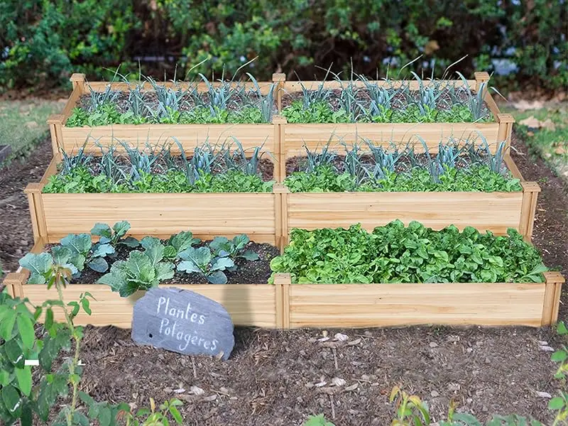 planter bed