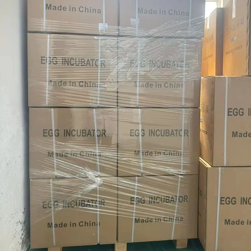 256구 자동 부화기, 닭, 오리, 거위, 조류 부화율 높이기 위한 고성능 부화기