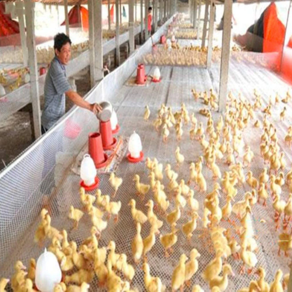 Description Picture 6 of itemGarden Protection Net Fence Safety Netting Breeding Net Isolation Equipment Protection Child Cat Pet Chicken Plastic Mesh