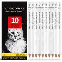 White Charcoal Pencils for Drawing, Professional 10 Pieces White Colored Pencils for Sketching, Shading, Blending, White 1