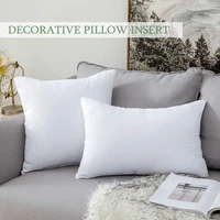 Throw Pillows Insert 30x50cm 45x45cm 50x50cm Cushion Inner Soft Fluffy Plump Stuffer Cushion Pads White Decorative Pillow Insert 2