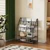 Magazine Holder Floor,2-Tier Metal Magazine Racks, Newspaper Display Stand with Board Shelves for Books and Brochure in Home 2