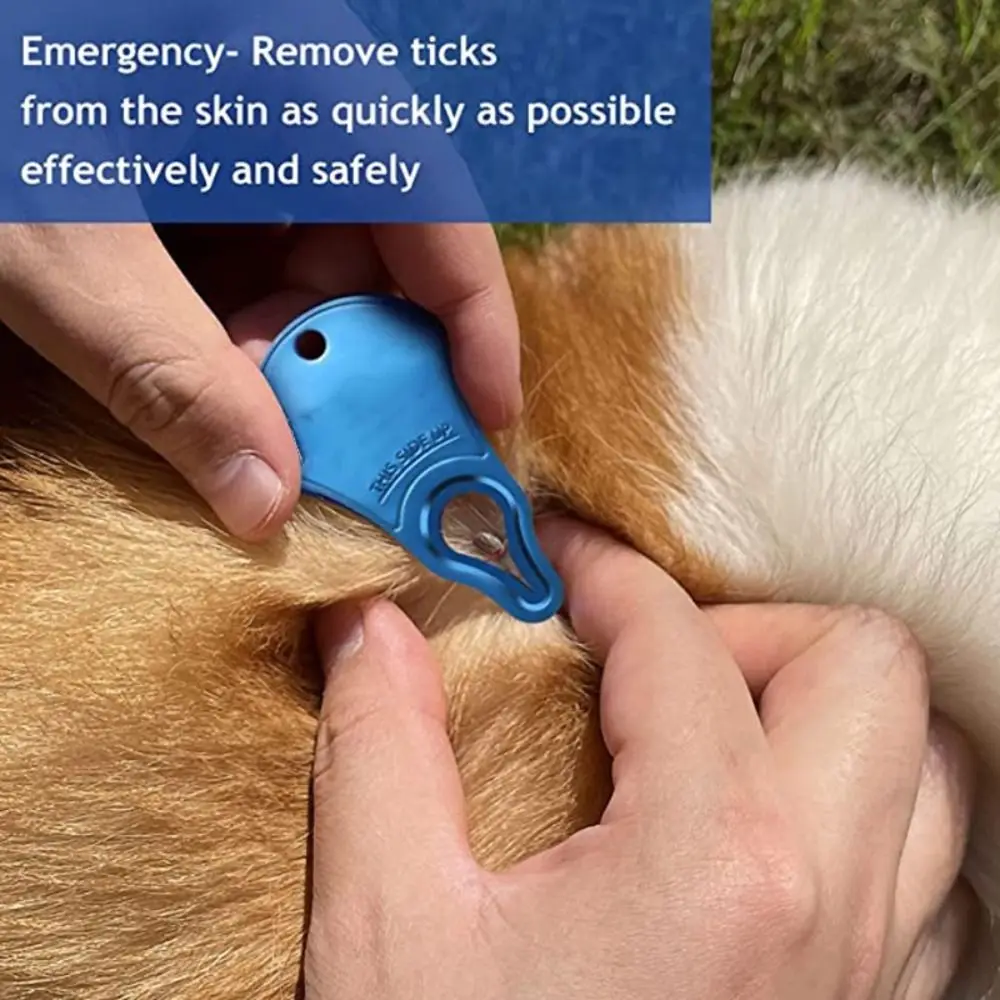Title 6, Portable Dog Accessarie High Quality Pet Groomi...
