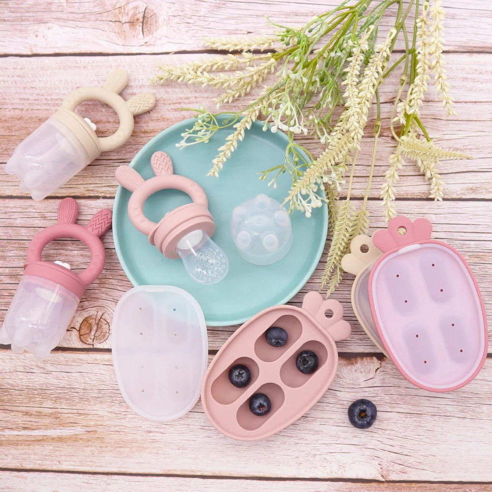 Baby Fruit Food Feeder & Mini Freezer Nibble Tray Combo, Breastmilk Popsicle Molds for Cooling Relief, BPA Free Silicone Feeder