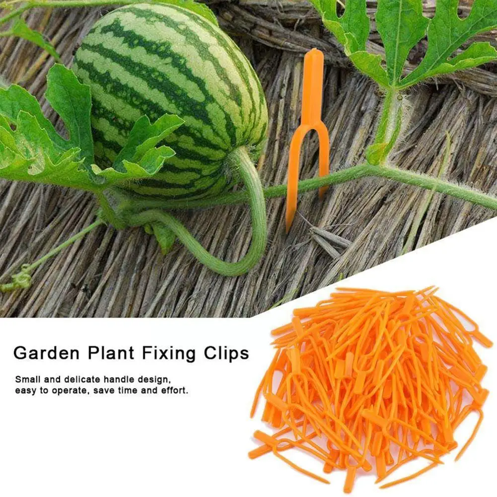 

50Pcs Plant Stem Stolon Fixator 50Mm/65Mm Garden Strawberry Clamp Clip Fastening Fixture Planting Plant Support Watermelon R3U5