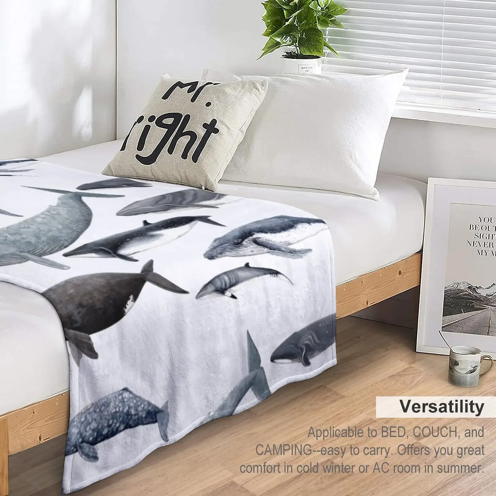 ������ ������ ���� ������ ���, �Ƹ��ٿ� ���ſ� ħ�� ����, ���� ���