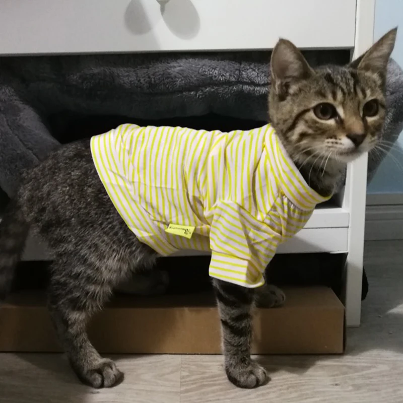 Pet Clothes Cute Stripe Pet Cat Vest Shirt Summer Cotton Cat Clothing Outfit Pets Animals