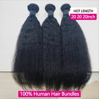 Mèches brésiliennes 100% naturelles crépues et lisses, cheveux bruts vierges non traités, Extensions de cheveux, livraison en 2 à 5 jours, 12A 2