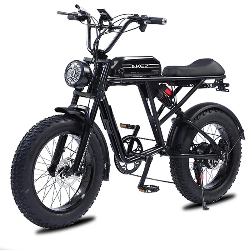 20 Inch Retro Two Wheel Electric Bike Soft Tail Double Snow Absorber Electric Bike Thick Tires 26AH48v1500w Ebike