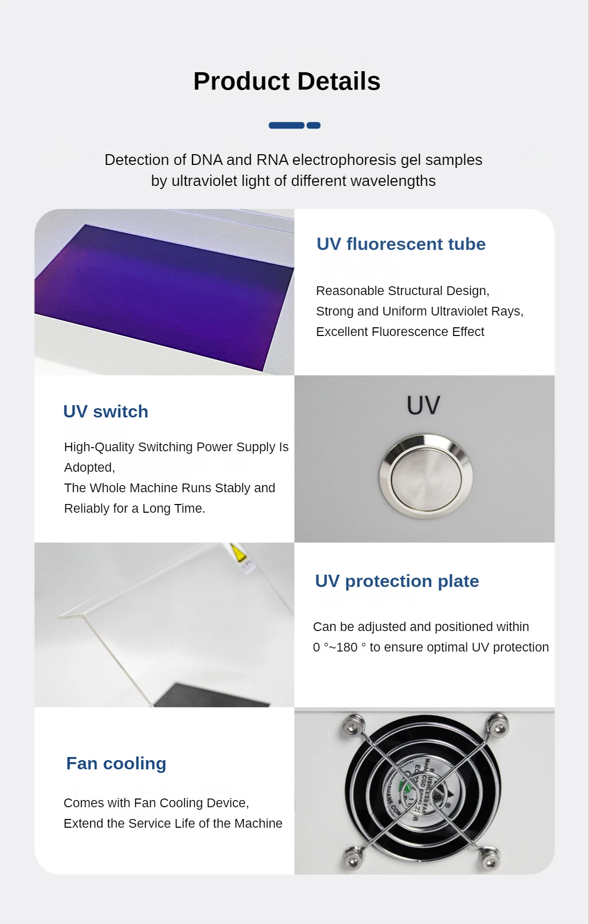 LABGIC DNA/RNA Electrophoresis Gel UV-15 UV Gel Cutter with UV Filter Glass and Precise Sealing Structure High-quality UV gel cutter for DNA/RNA electrophoresis gel cutting, featuring UV filter glass and precise sealing structure for safe and accurate operation. High-quality UV gel cutter for DNA/RNA electrophoresis gel cutting, featuring UV filter glass and precise sealing structure for safe and accurate operation. LABGIC DNA/RNA Electrophoresis Gel UV-15 UV Gel Cutter