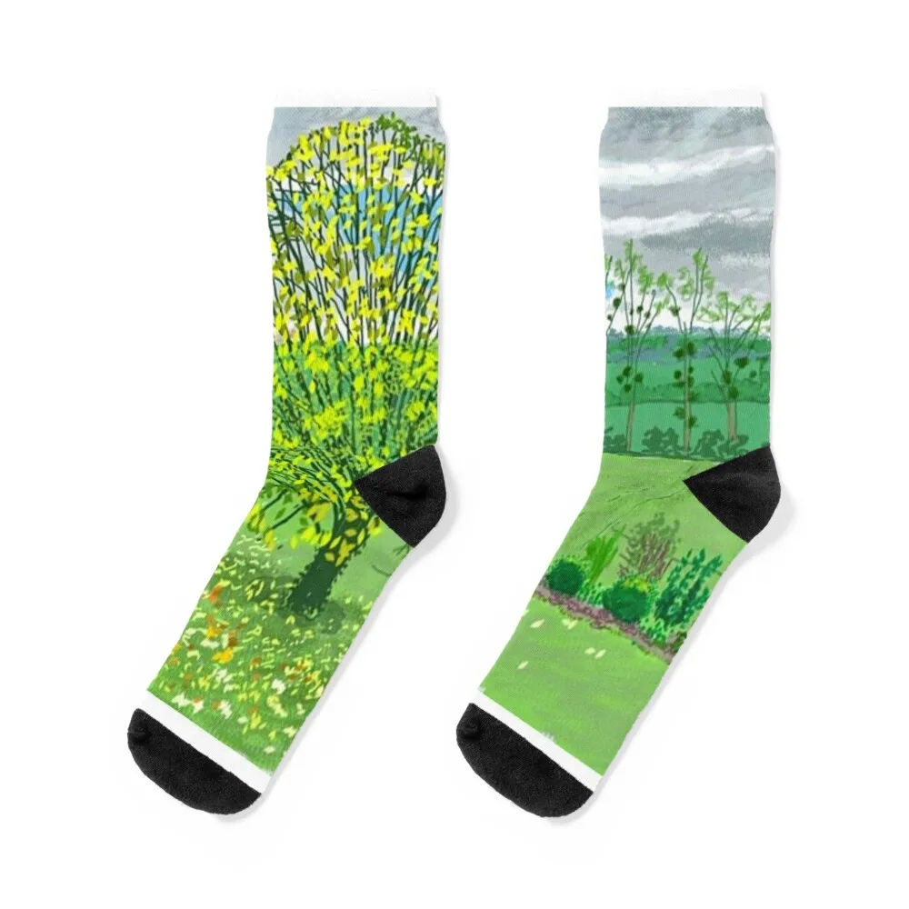 

Носки David Hockney с принтом трех деревьев, Давида Hockney, мужские носки с принтом для скалолазания, роскошные женские носки