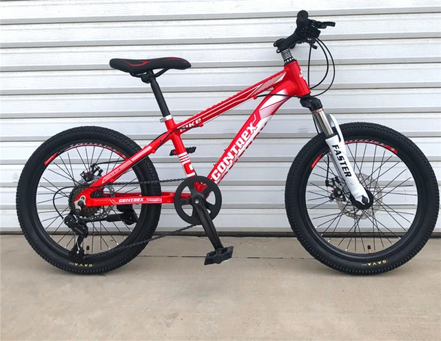 Velo Enfant 6-9 Ans VTT Enfant 20 Pouces Cadre Acier Carbone