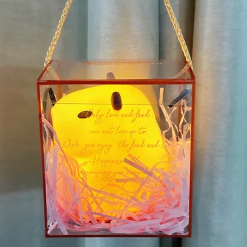 New Arrival Capybara Night Light Silicone Decorative Ornament Creative Gift Ambient Lamp for Home Decor Bedroom Desk Atmosphere 5