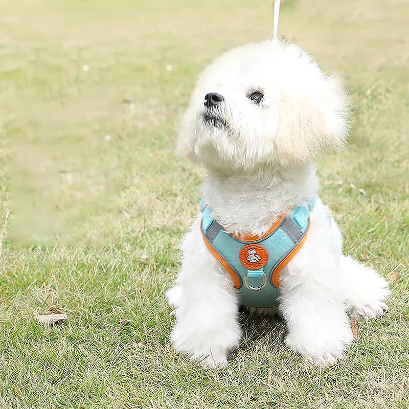 Dog Harness Set with Leash
