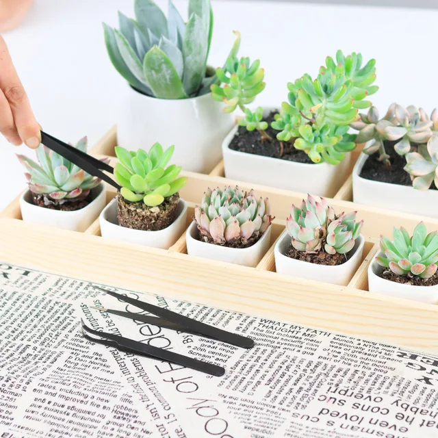 Mini Zamatos Szerszámok Beállítva Tenyésztési Szerszámkészlet Rozsdamentes Acél Spatula Beltéri Növényekhez Bonsai Cactus Tool - Image 3