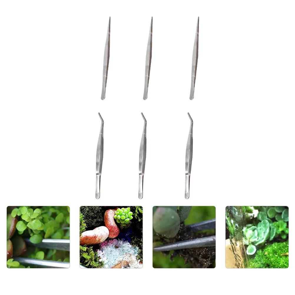 6 Pcs Tools Succulent Bonsai Tweezers Small Planting Gardening Accessory Silver