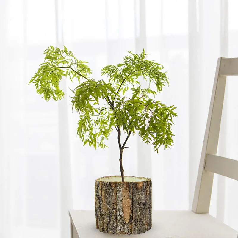 Pot / Jardinière En Écorce De Liège - Sans Marque (Neuf, Matériau Naturel)