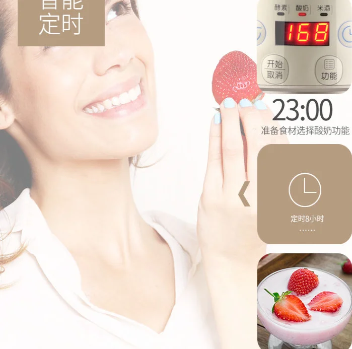 Yogurt Machine chinahealthmaker 2L Household big home Fermentation Machine Auto Enzyme Rice Wine maker 110-220-240V Golden
