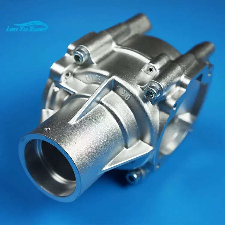 

DLE120 crankcase