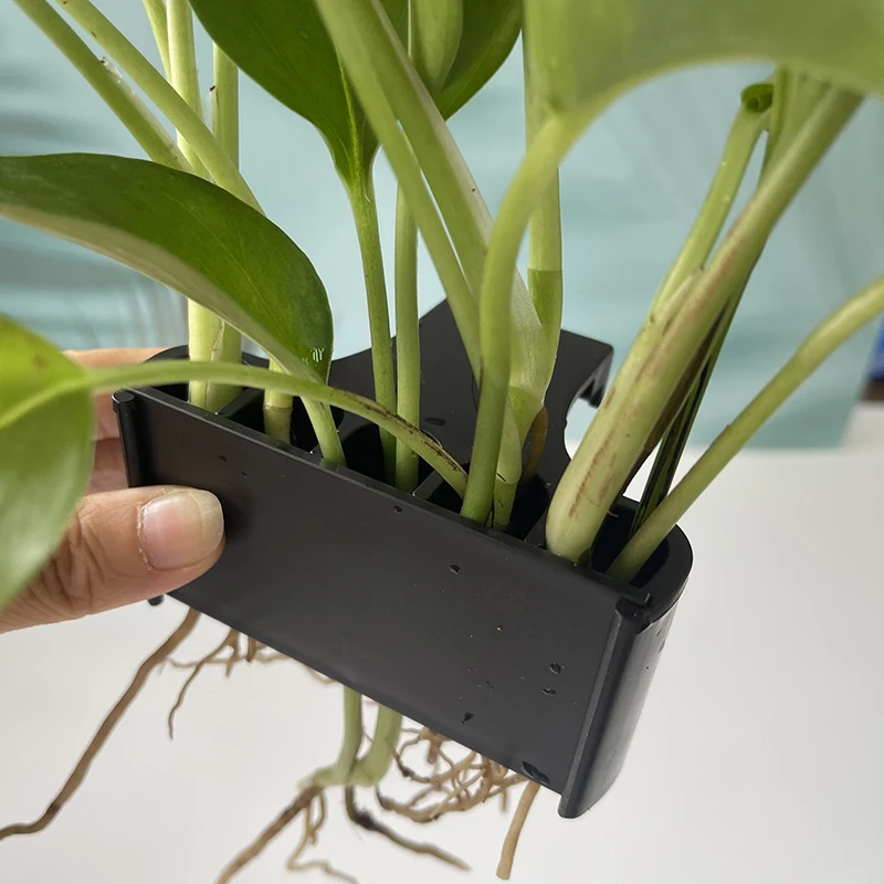 Fish Tank Plants Aquarium Plant Holder Fixed Holder Hanging Aquatic Planter Emersed Green Plant Pot With Hole 1pc