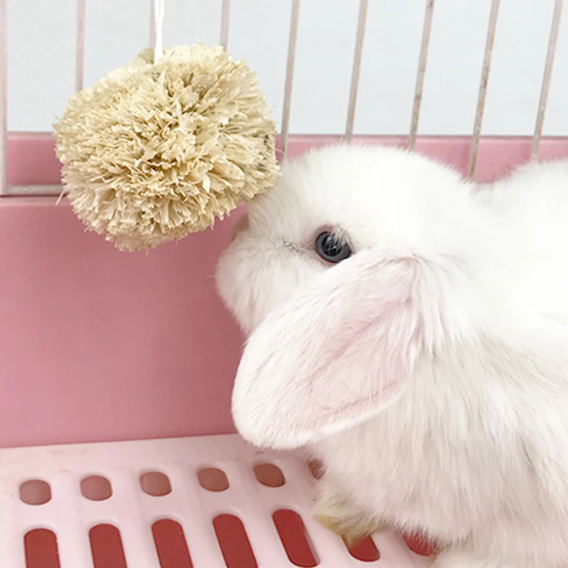 Chew Toys Hay Treats 2