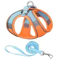 Orange  Blue