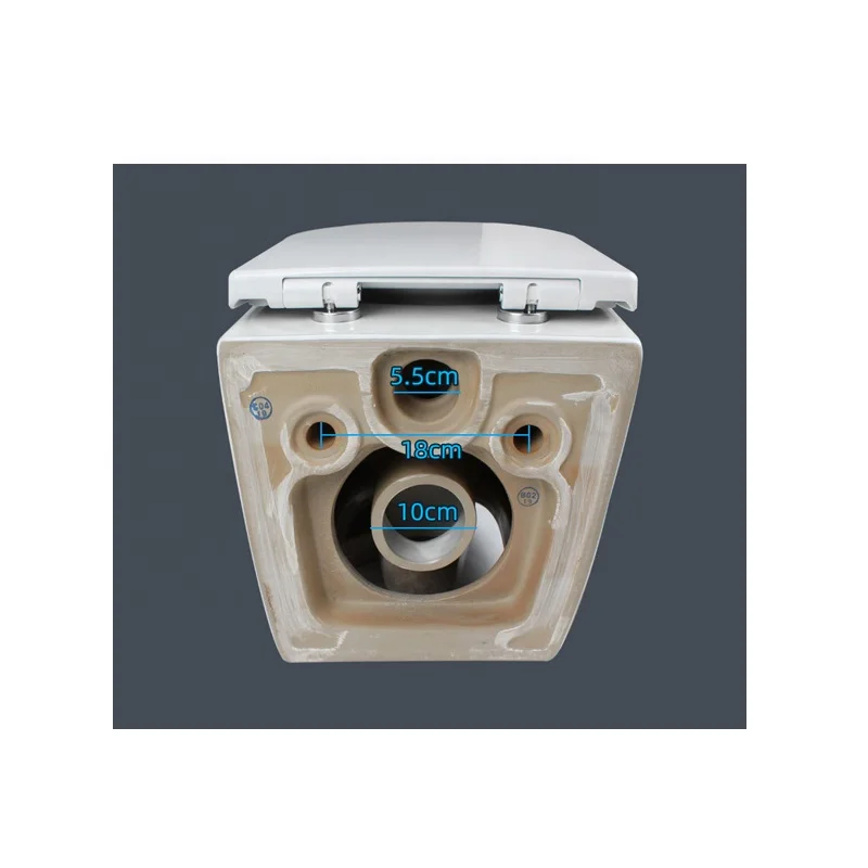 Complete Toilet Set with Wall Hung Toilet, Dual Nozzles Cold Water Soft Closing Seat Cover, Concealed Cistern and Flush Button