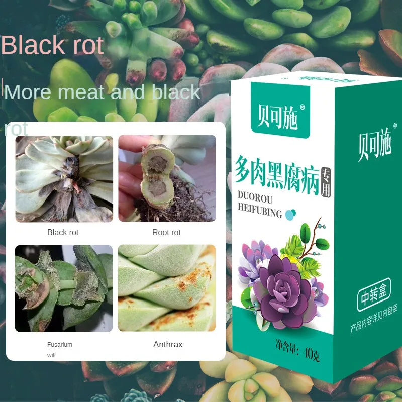 Succulent Organic Granules Promotes Budding Dwarf Fat Prevents Leggy 300ml 1/2/5pcs