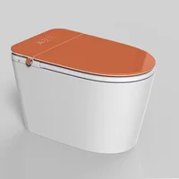 YYHC-an intelligent toilet 1