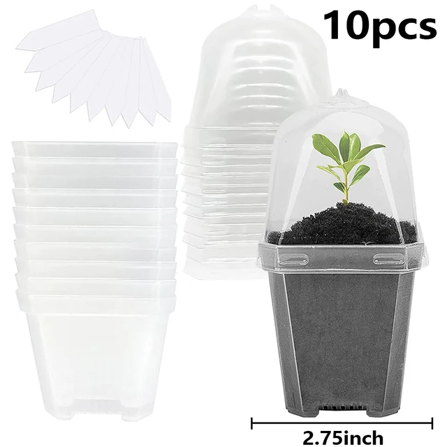 3 inchesx10 pcs