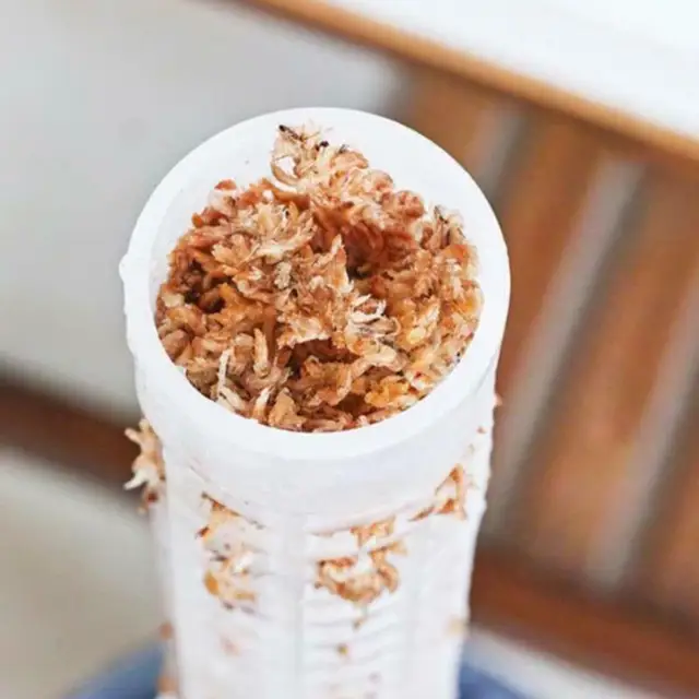 50 Cm -Es Növényi Hegymászó Oszlop Hegymászás Növény Pólus Sphagnum Mohás Állvány Víz Támogató Növényvirágok Támogatás - Image 2