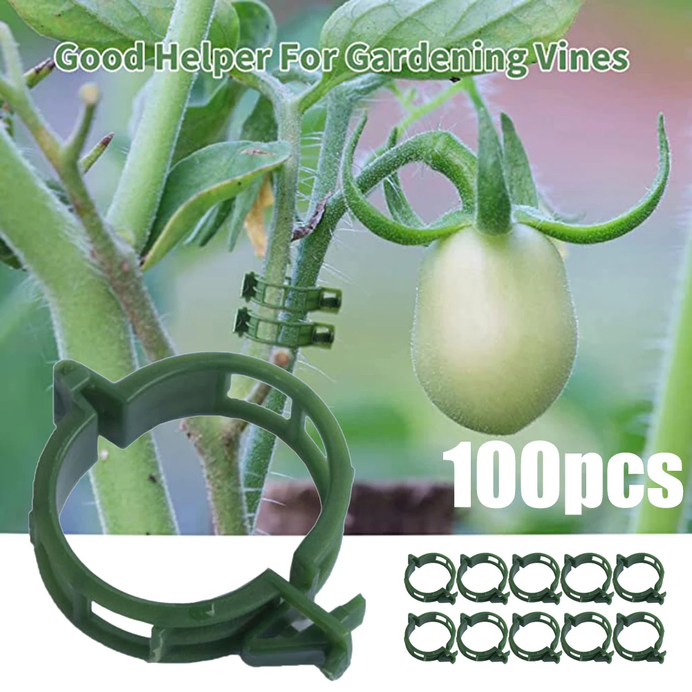 

100pcs Plant Clips Plastic Vine Hold Clips Buckle Hook Supports Connects Reusable Holder Gardening Supplies For Vegetable Tomato