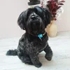 100PCS/Pack Choose Patterns Puppy Dog Small Hair Bows Pet Dog Hair Accessories Dog Grooming Bows for Small Dog Puppy Yorkshir 3