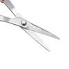 Grape Scissors Picking Fruit Scissors with Tweezers To Take Bad Fruits Thin Fruit Scissors Fruit Scissor 3
