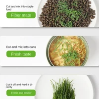 New Pet Cat Sprout Dish Growing Pot Hydroponic Plant Cat Grass Germination Digestion Starter Dish Greenhouse Grow 6
