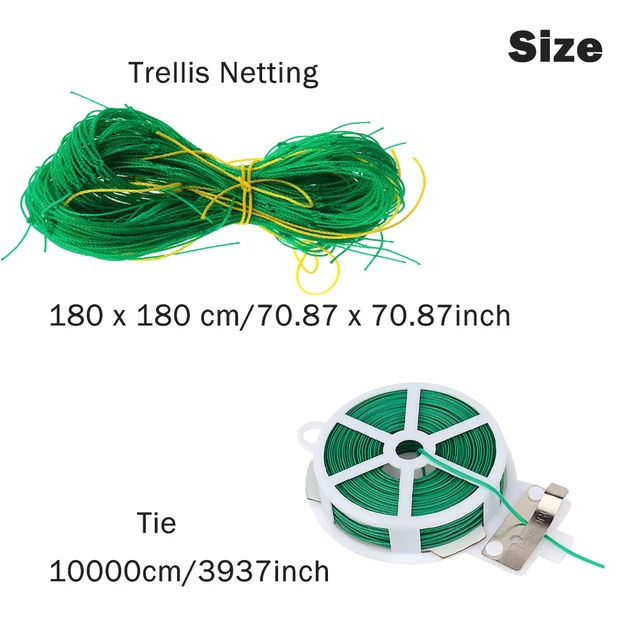 Paradicsomok Növényi Rácsos Háló Kötőmászó Növényekkel Az Uborkához Nagy Gyümölcsök Zöldség Hegymászás Szőlő Nettó Kertészet - Image 6