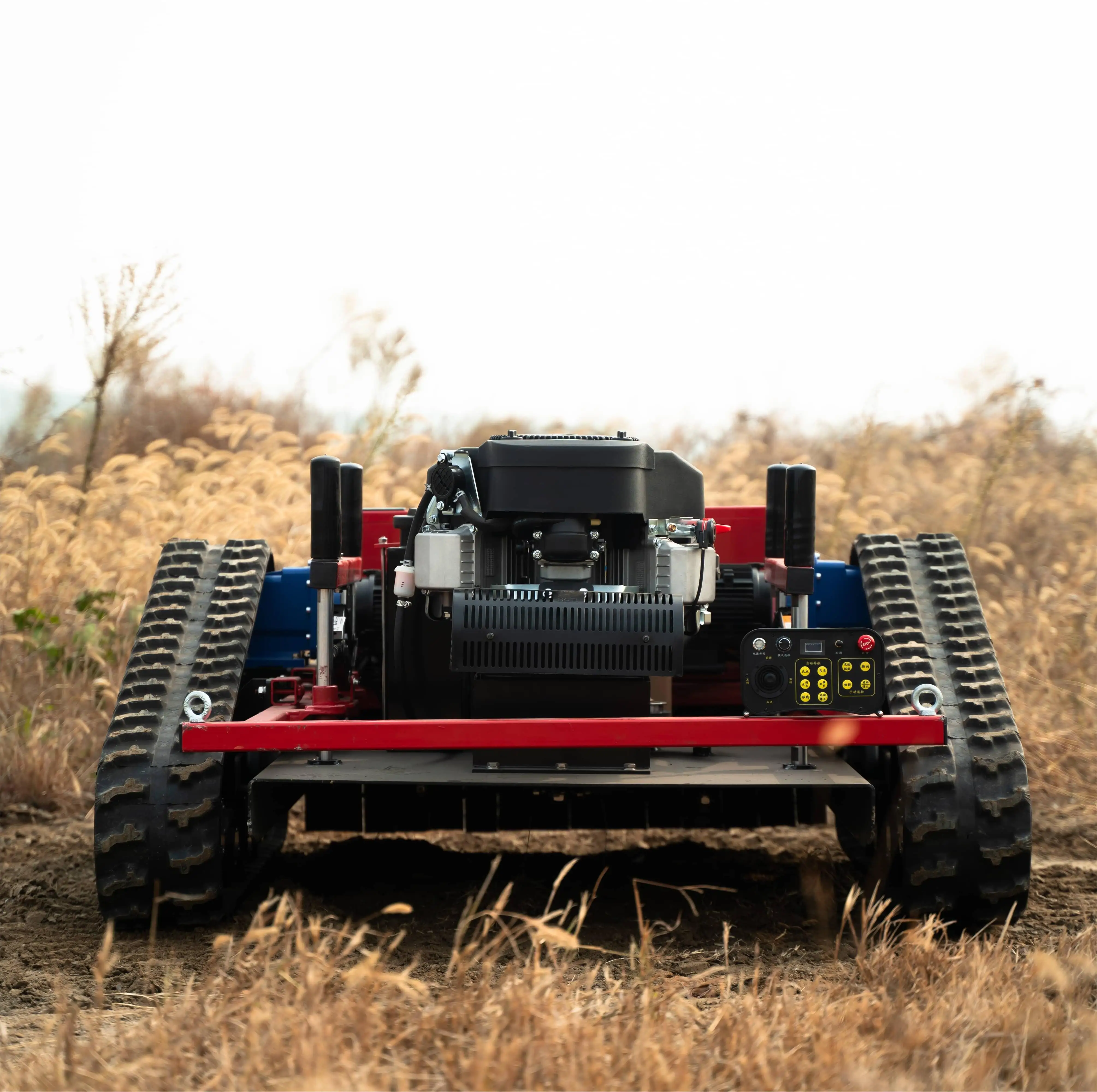 Рисунок 2 - Самая продаваемая газонокосилка по всей сети