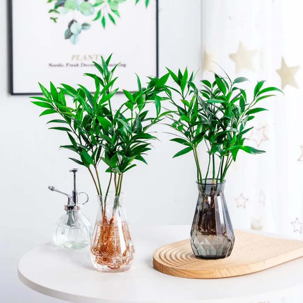 Flower Pots Transparent Vases Hydroponic Flower Vases Plastic Transparent Diamond Shaped Creative Home Decor Ornaments 2