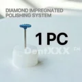1PC DP13M