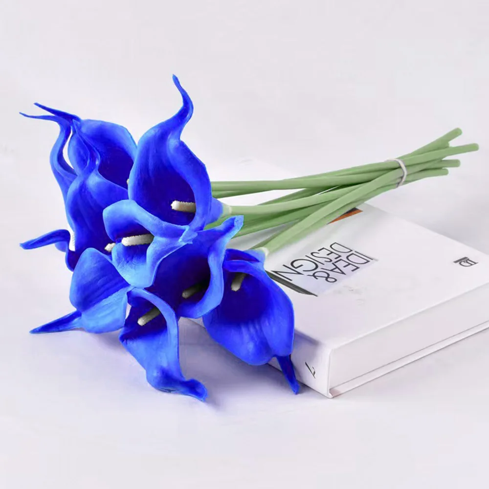 Sd37b55c5cfc64e46834e65bf89b55d6cz.jpg