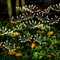Warm White