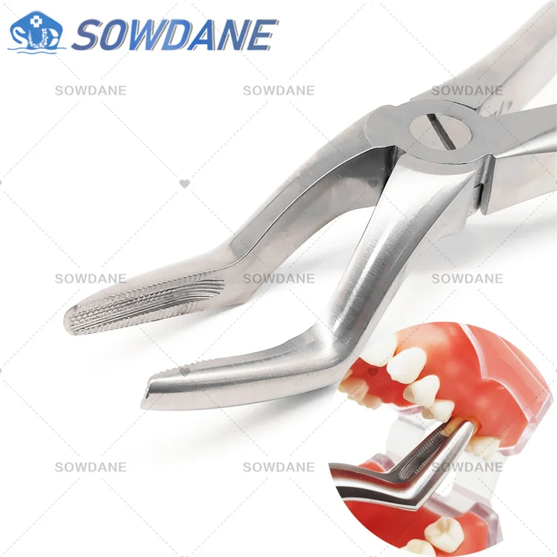 Untere Backenzahn-Zange Nr. 86 – Chirurgisches Instrument Für Dental-Labore Und Extraktionen