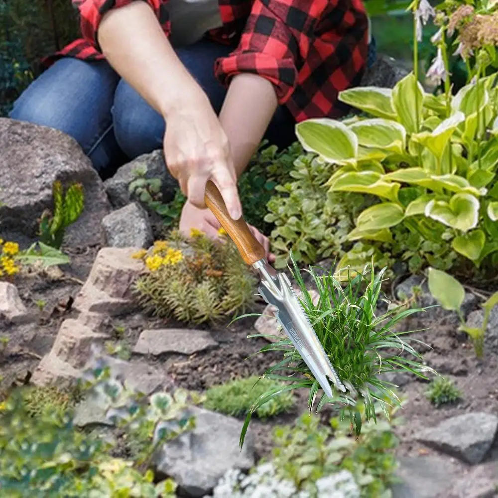 Description Picture 3 of itemHand Weeder Puller 5 In 1 Manual Hand Weeder & Weeds Puller For Planting Gardening Weeding Tool Stainless Steel Garden Trowel