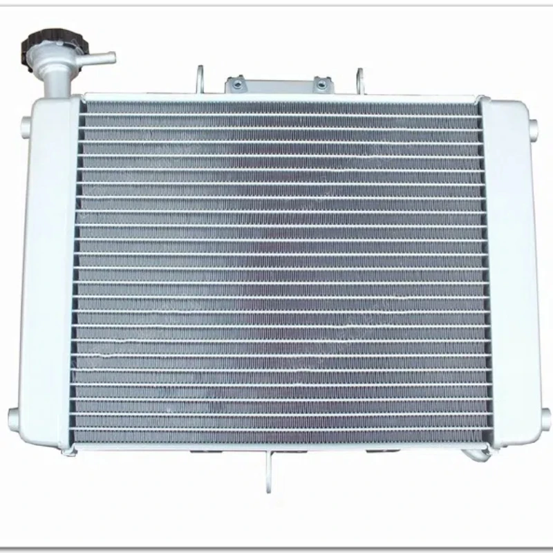 Motorcycle Accessories BJ500-6A 502C Water Tank Fan Radiator
