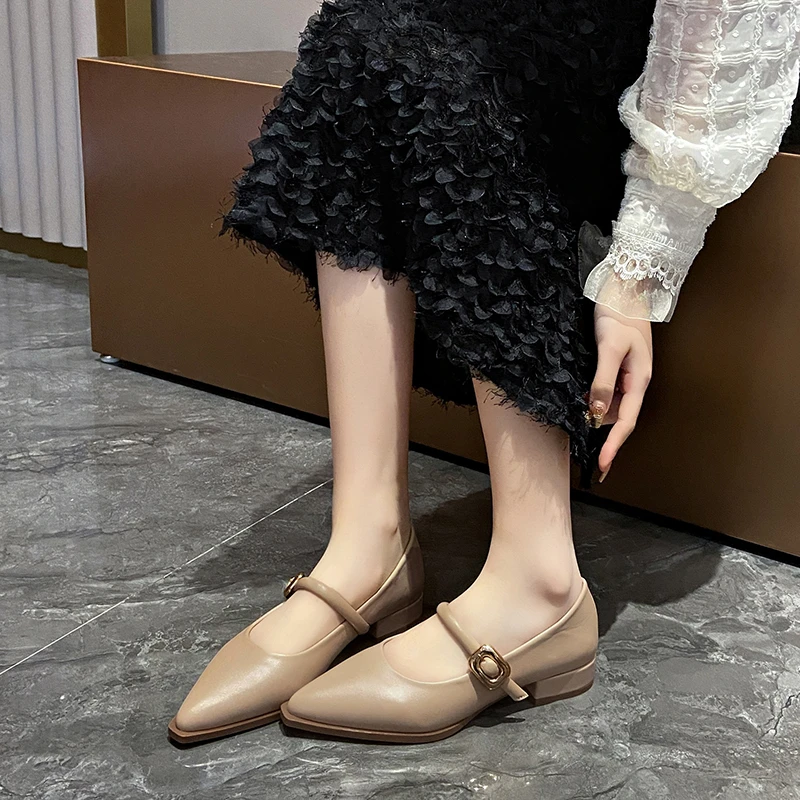 Aphixta 2025 Classic Pointed Toe Mary Janes Women Heels Pump 2.5cm Med Heel Elegant Shoes Shallow Plus Size 43 Pumps