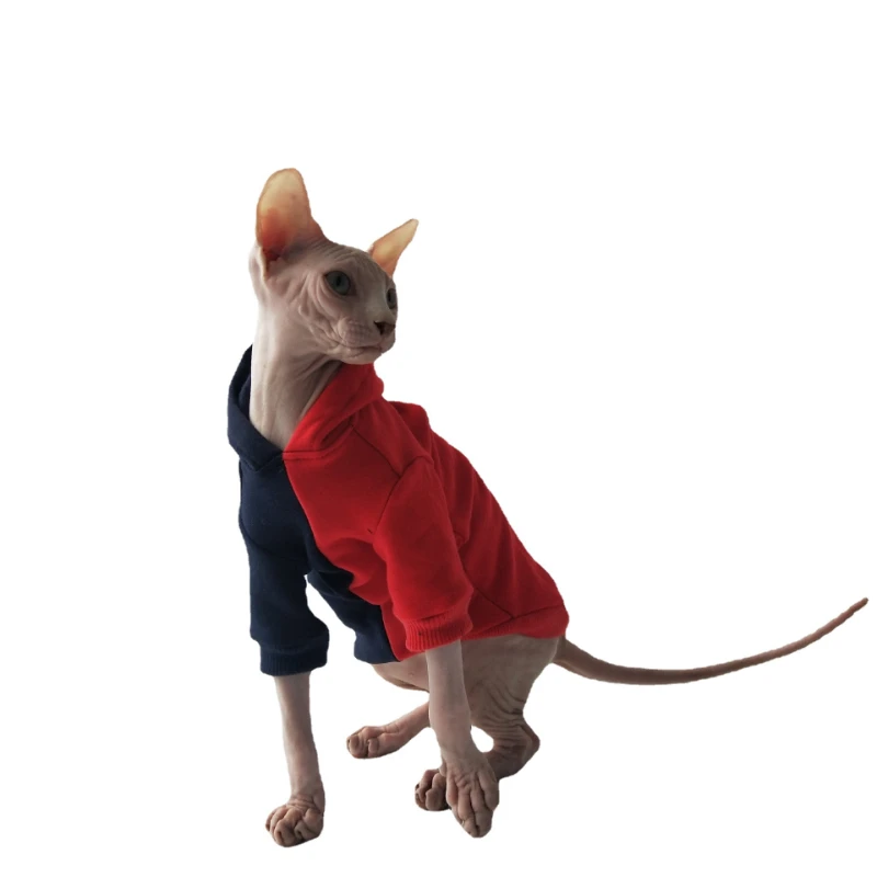 

Autumn and Winter Plush Trendy Sweatshirt with Contrasting Colors, Sphinx Hairless Cat German Clothing