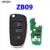 ZB09